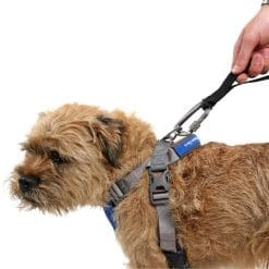 Mountain Paws Dog Harness
