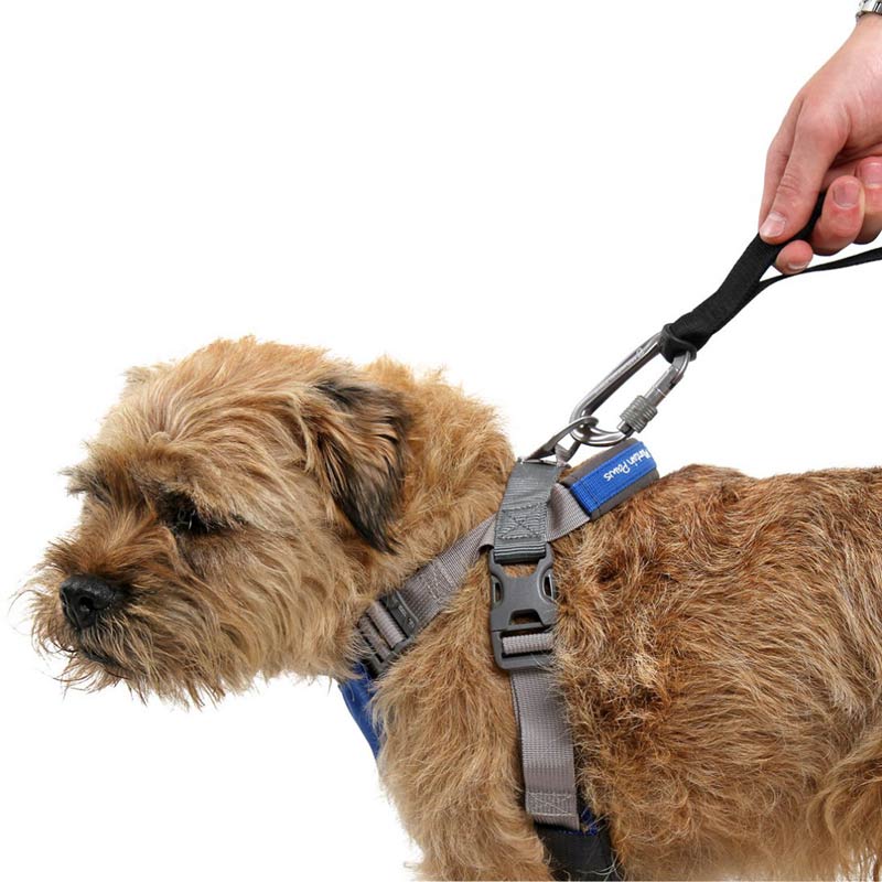 Mountain Paws Dog Harness Small CAMPCRAFT