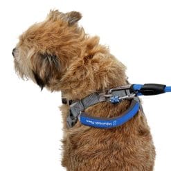 Mountain Paws Dog Harness