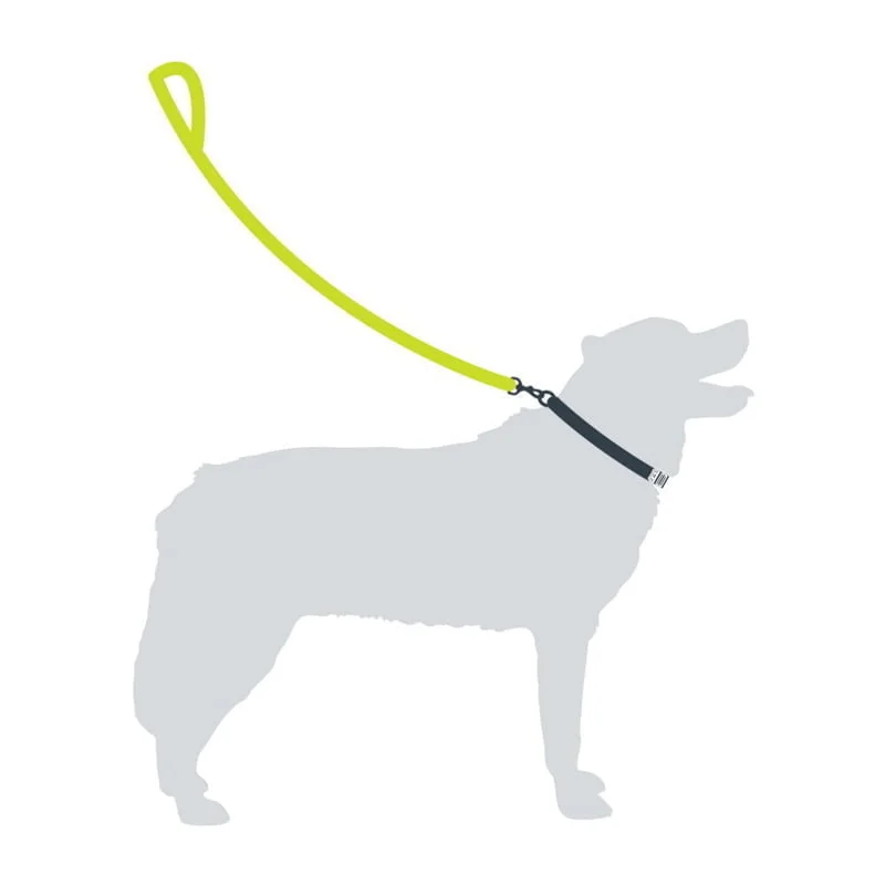 Mountain Paws Dog Lead