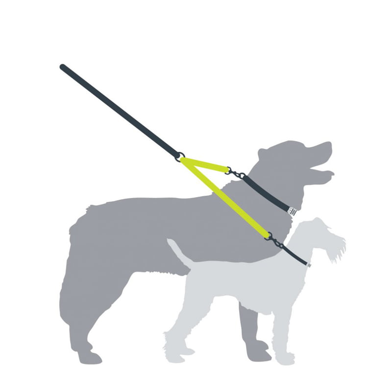 mountain paws dog lead