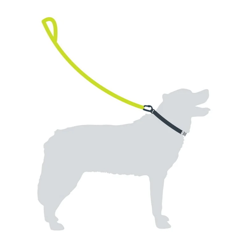 Mountain Paws Rope Dog Lead