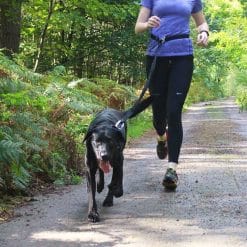 Mountain Paws Shock Absorber Dog Lead