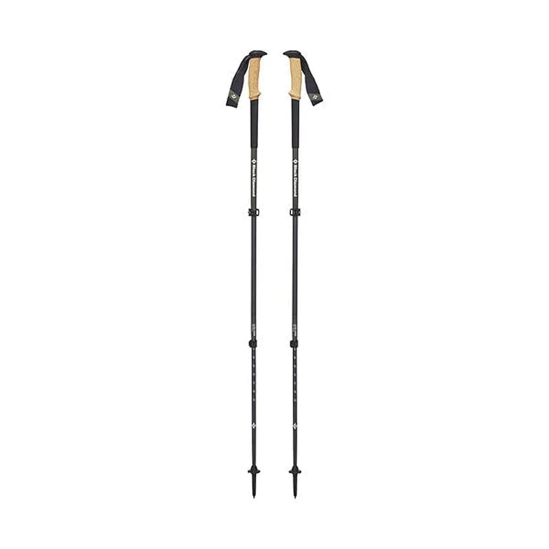 Carbon hiking pole 2025