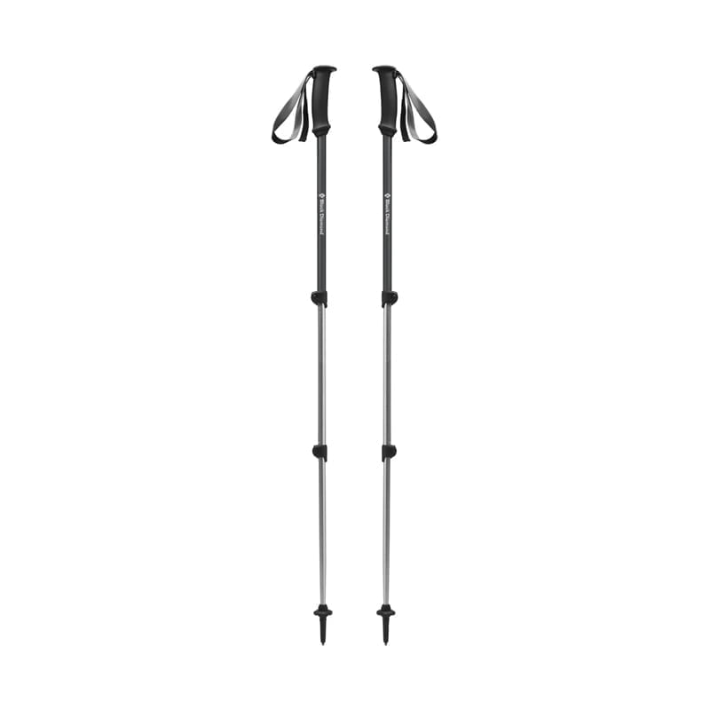 Black Diamond Trail Explorer 3 Trekking Pole Pair - Anthracite