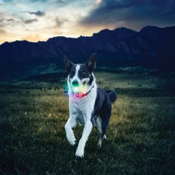 Nite Ize GlowStreak LED Ball - Disc-O