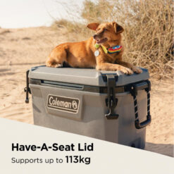 Coleman 55 Quart Convoy Cooler