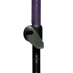 Black Diamond Trail Trekking Pole Pair - Pine Smoke