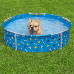 Bestway Fetchin' Fun Pet Play Pool